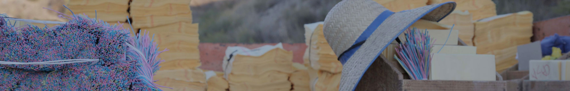 frutas falco uva de mesa vinalopo novelda alicante produccion