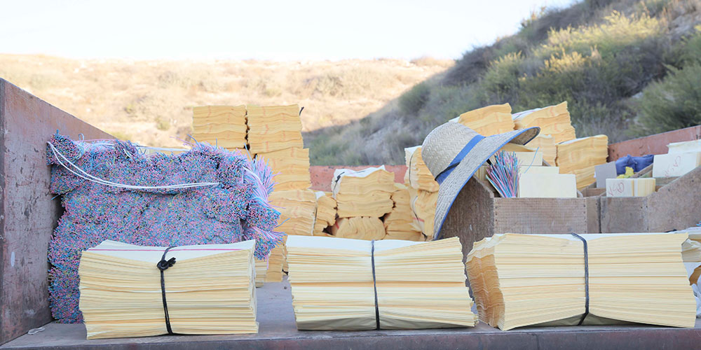 frutas falco uva de mesa vinalopo uva